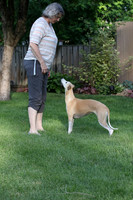 IMG-0672