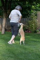 IMG-0660