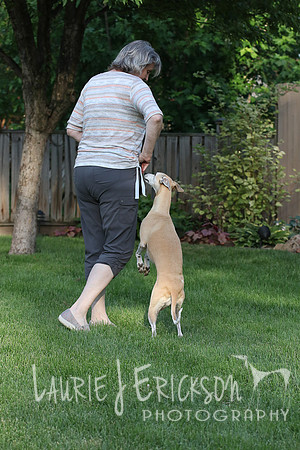 IMG-0660