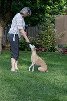 IMG-0664