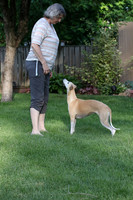 IMG-0671
