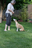 IMG-0662