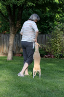 IMG-0657