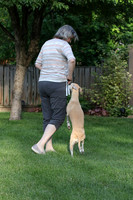 IMG-0659
