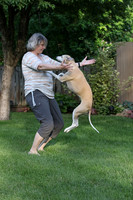 IMG-0667