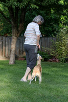IMG-0655