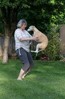 Rim leaping June 2020 by Barb S.