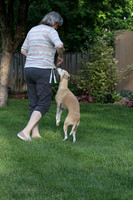 IMG-0661