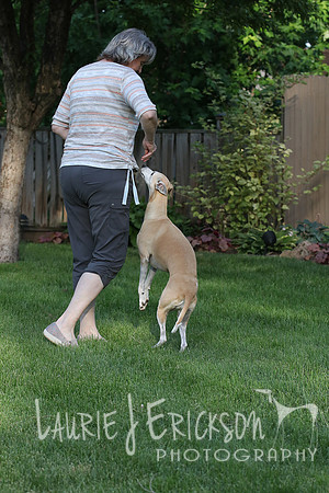 IMG-0661