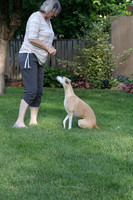 IMG-0663