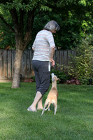 IMG-0656
