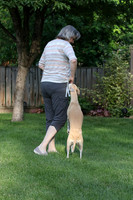 IMG-0658