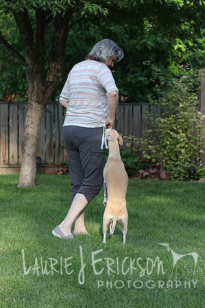 IMG-0658
