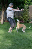 IMG-0673