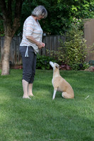 IMG-0666