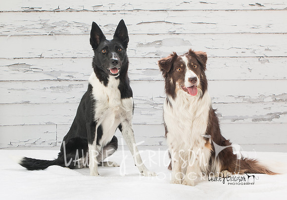 IMG-6095
