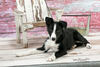 IMG-8555