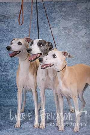 IMG_9030