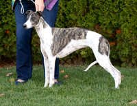 IMG_9532