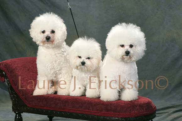 IMG_0079
