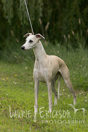 IMG-5648