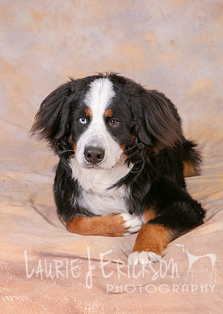 IMG_0148