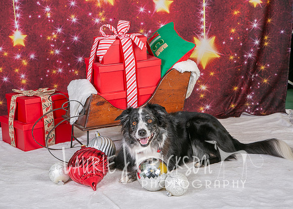 IMG_0235