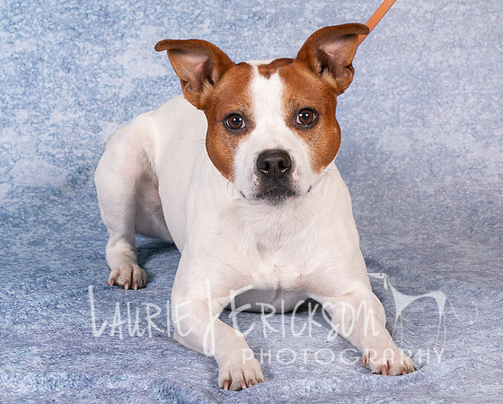 IMG_0570
