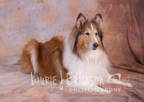 IMG_0827