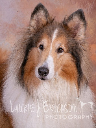 IMG_0830-2