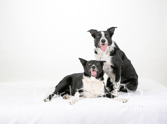 IMG_1176