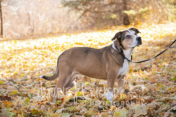 IMG_5180