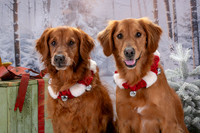 IMG_5289