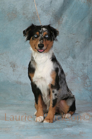 IMG_8320