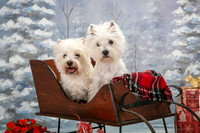 IMG_5673