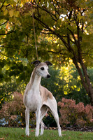 IMG_3787