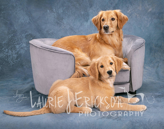 IMG_0074-2 copy