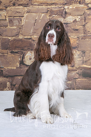 IMG_0342 Gracie