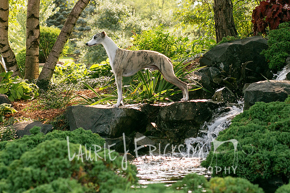 IMG_0731 final edited 12x18