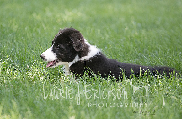 IMG-5151-2