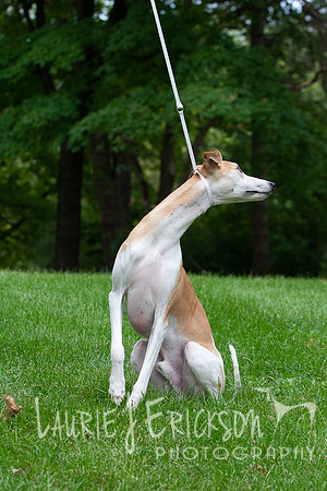IMG-6000