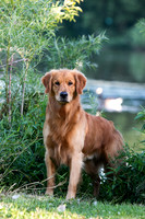 Kluesner, Susan 8-14-19