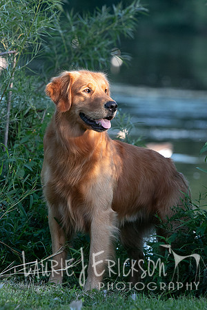 IMG-5709