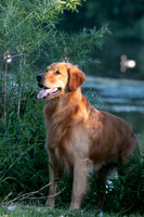 IMG-5704