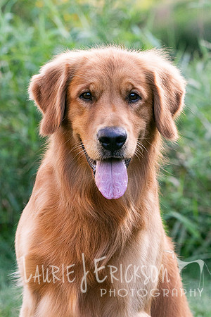 IMG-5693