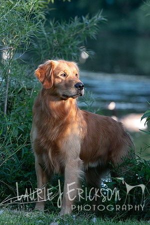 IMG-5708
