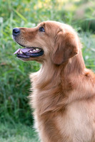 IMG-5689