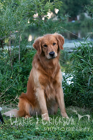 IMG-5736