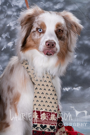 IMG-9350