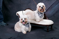 IMG-8895